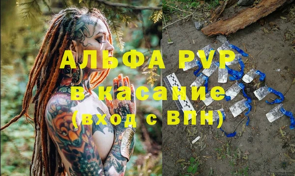стафф Медвежьегорск