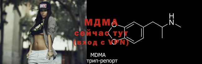 прущие грибы Магадан