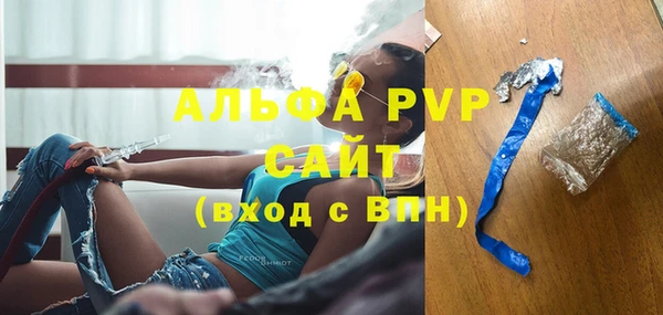 сатива Мегион
