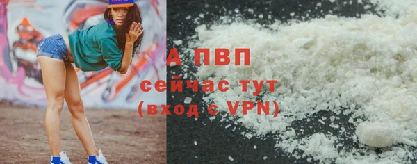 стафф Медвежьегорск