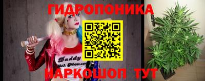 амф Заволжье