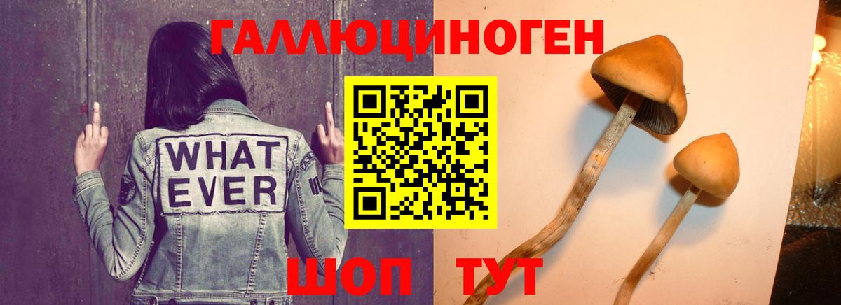 Псилоцибиновые грибы ЛСД  Вход с VPN  Усть-Илимск 